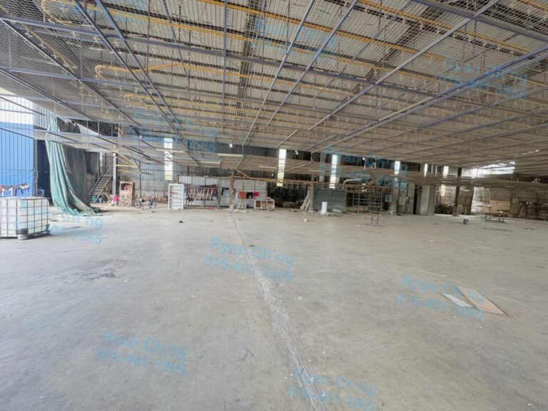 WhatsApp 图像2025-05-12于11.52.31_d103cf60