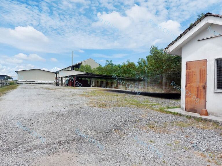 WhatsApp 图像2025-06-05于10.43.56_28c1d0fd